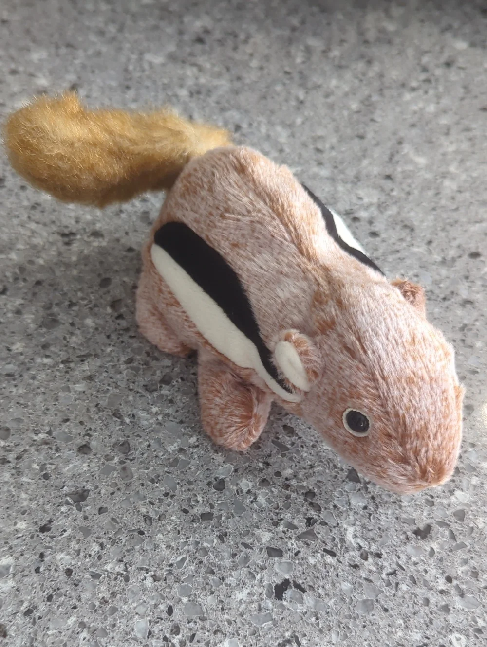 Ty Beanie Baby - Chipper